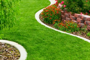 Landscaping & Lawn Care in Hampton, Tennessee