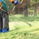 Yard Maintenance in Hampton, Tennessee