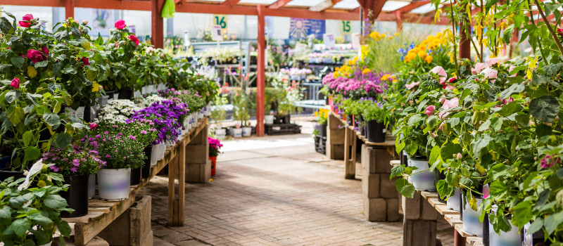 3 Great Reasons to Get Your Plants from a Nursery
