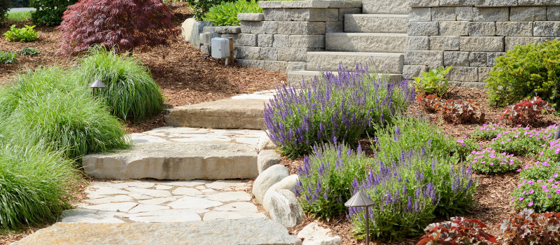Key Ingredients of Professional Landscaping