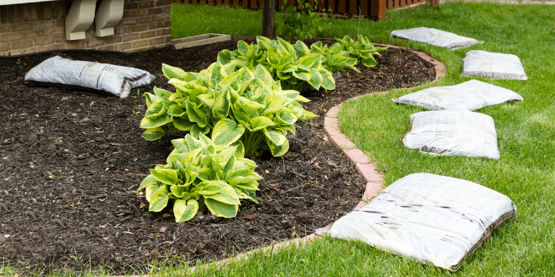 Mulch