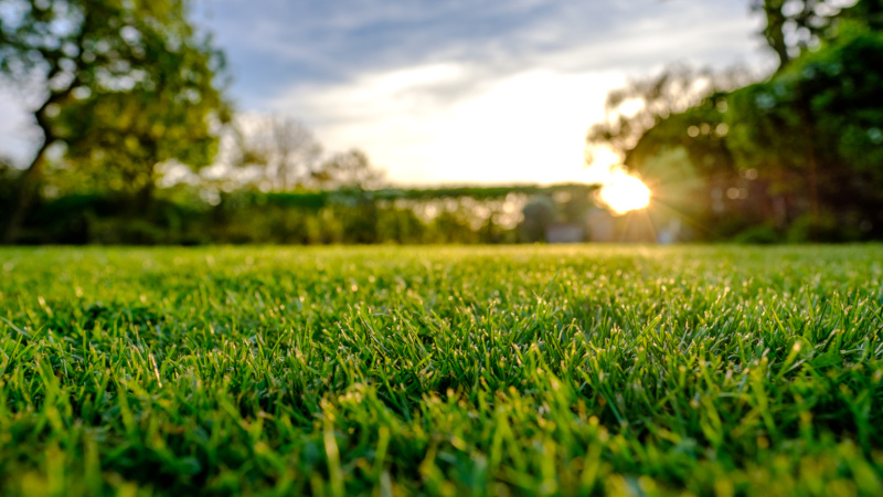 make lawn care a more simple, enjoyable task with great results