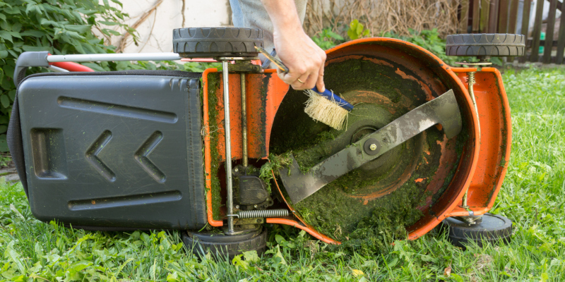 lawn care tips that anyone can use
