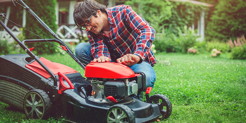 Yard Maintenance Do It Yourself or Hire a Professional Yard