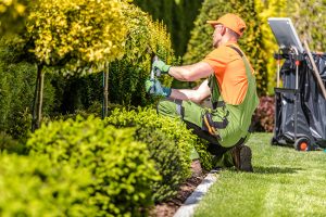 What You Need to Know About Hiring a Landscaper