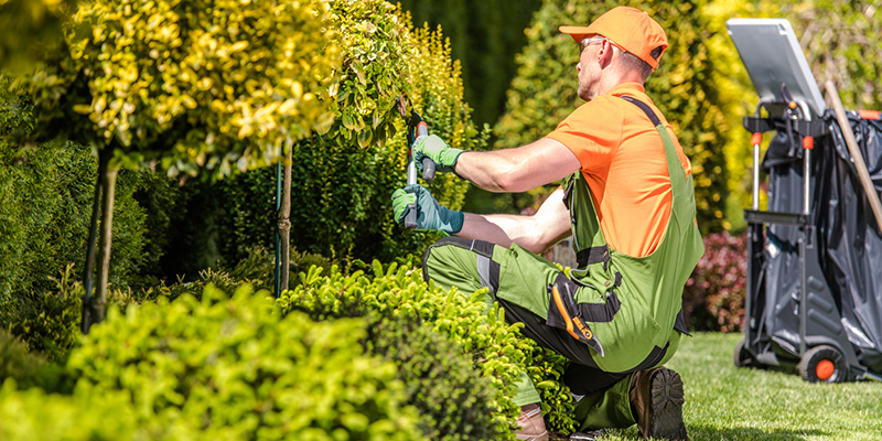 What You Need to Know About Hiring a Landscaper 