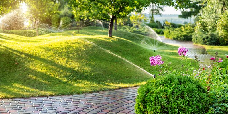 A Beginner’s Guide to Lawn Care