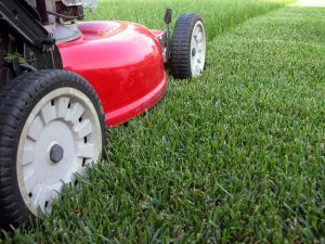 Things to Love About Toro Lawn Mowers
