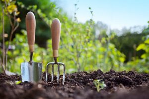 5 Essential Garden Supply Items for a Beginning Gardener