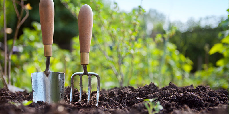 5 Essential Garden Supply Items for a Beginning Gardener