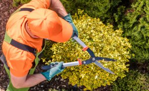 Not Enough Time for Yard Maintenance? We Have a Solution for You.